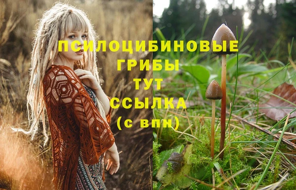 кокаин премиум Каменногорск