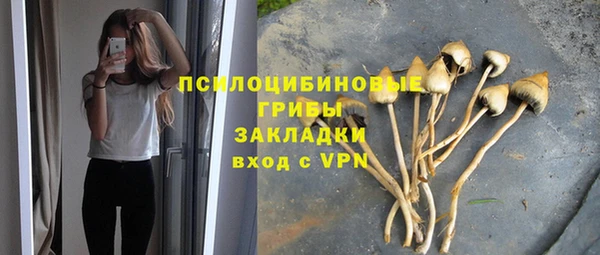 круглые Каменка